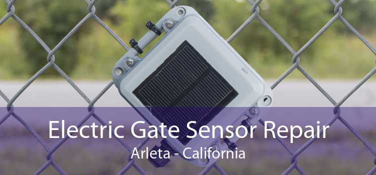 Electric Gate Sensor Repair Arleta - California