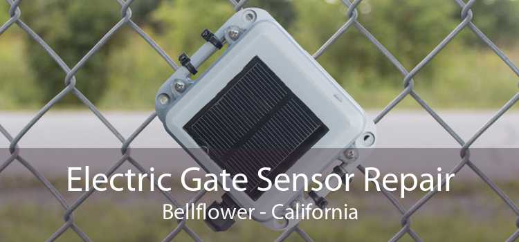 Electric Gate Sensor Repair Bellflower - California