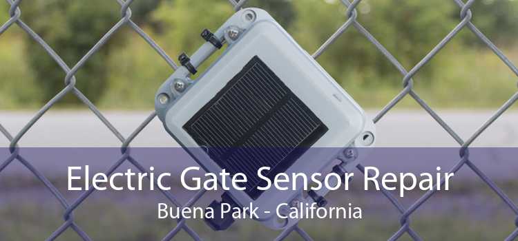 Electric Gate Sensor Repair Buena Park - California