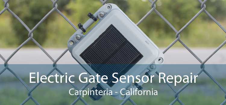 Electric Gate Sensor Repair Carpinteria - California