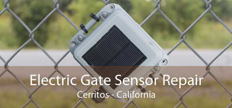 Electric Gate Sensor Repair Cerritos - California