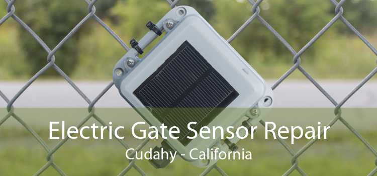 Electric Gate Sensor Repair Cudahy - California