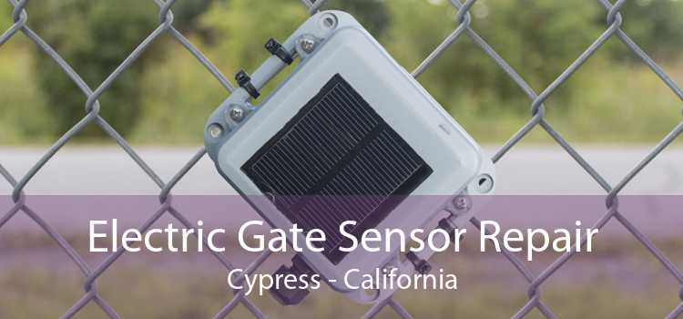 Electric Gate Sensor Repair Cypress - California