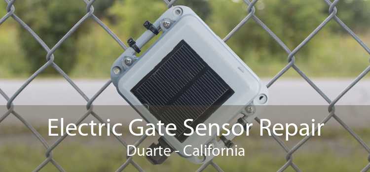 Electric Gate Sensor Repair Duarte - California