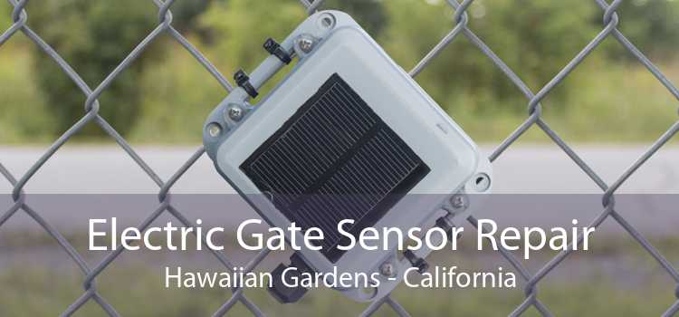 Electric Gate Sensor Repair Hawaiian Gardens - California