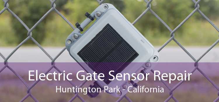 Electric Gate Sensor Repair Huntington Park - California