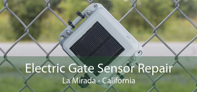 Electric Gate Sensor Repair La Mirada - California