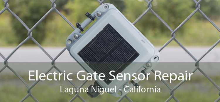 Electric Gate Sensor Repair Laguna Niguel - California