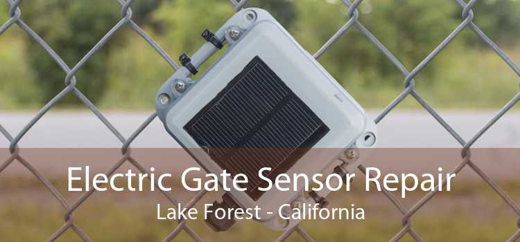 Electric Gate Sensor Repair Lake Forest - California