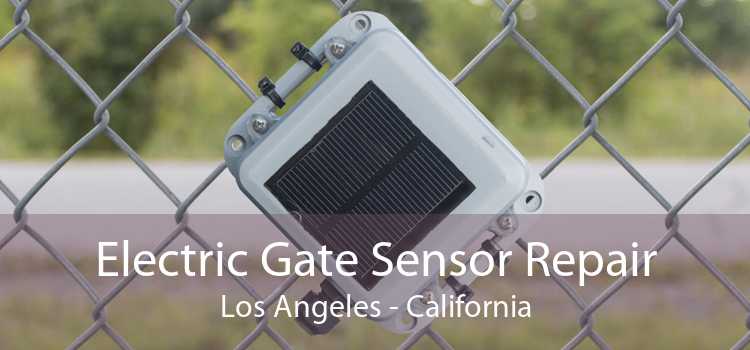 Electric Gate Sensor Repair Los Angeles - California