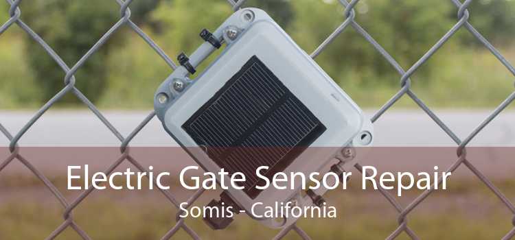 Electric Gate Sensor Repair Somis - California