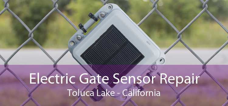 Electric Gate Sensor Repair Toluca Lake - California