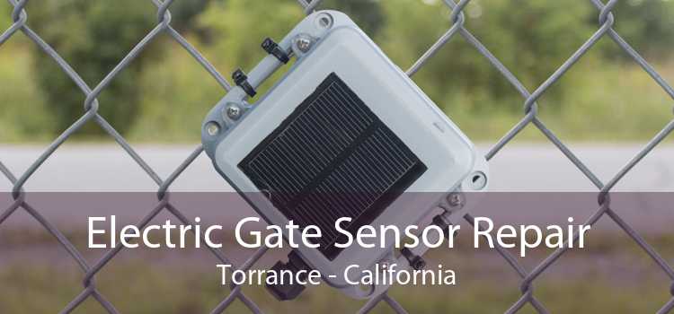 Electric Gate Sensor Repair Torrance - California